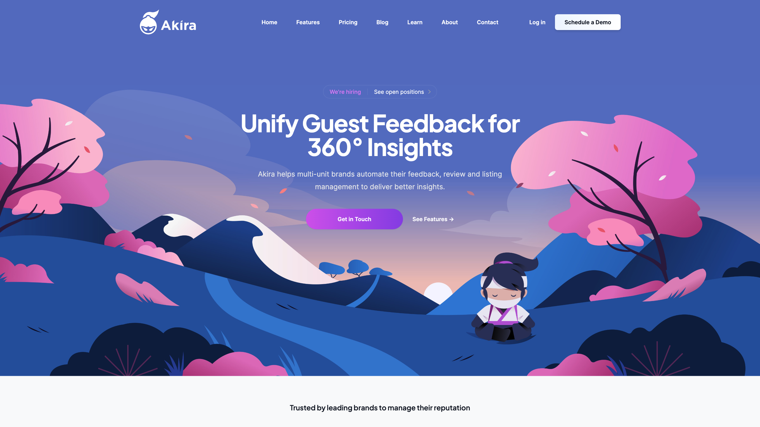 Akira Reputation Management