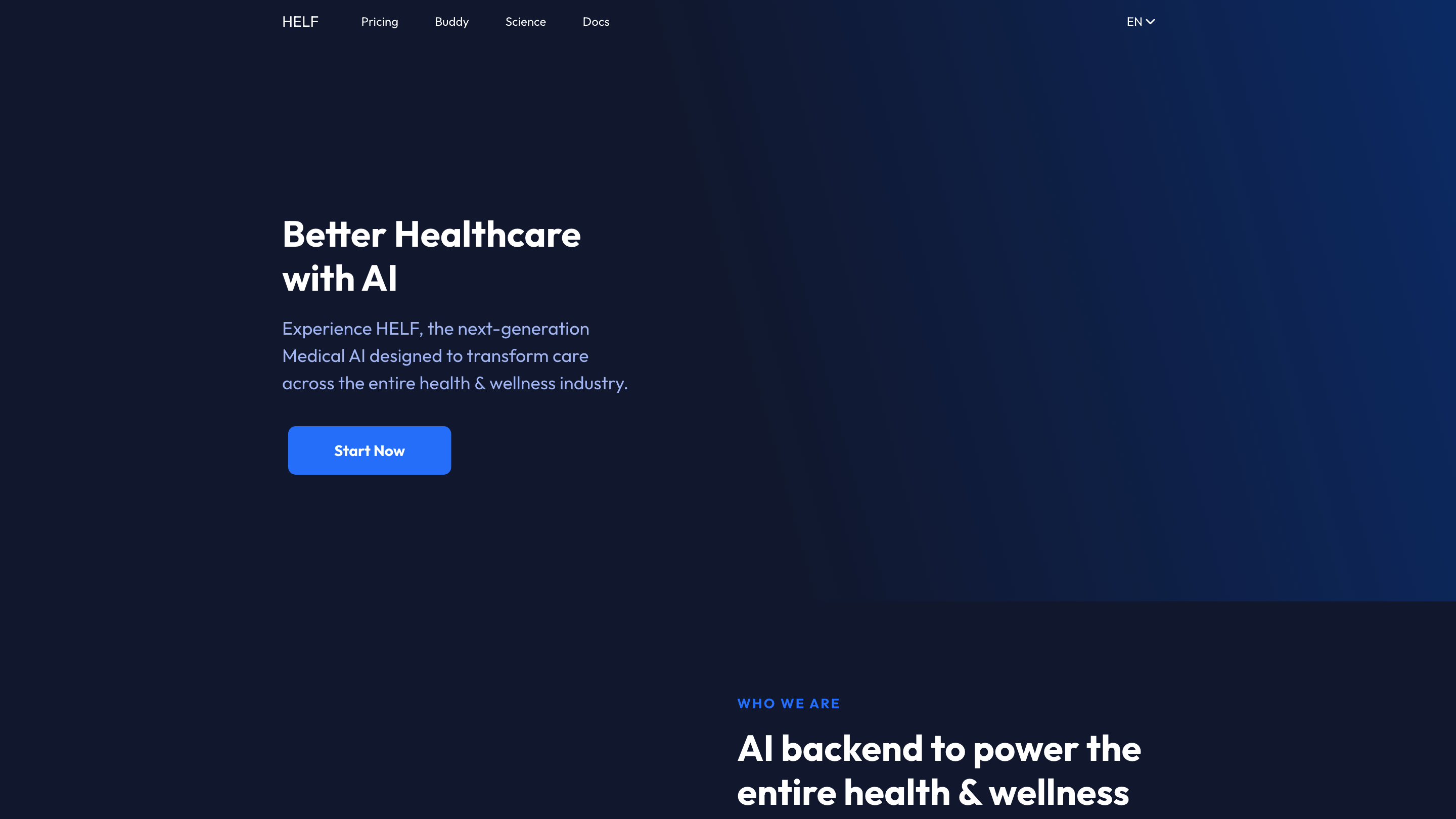 HELF - Better Healthcare with AI