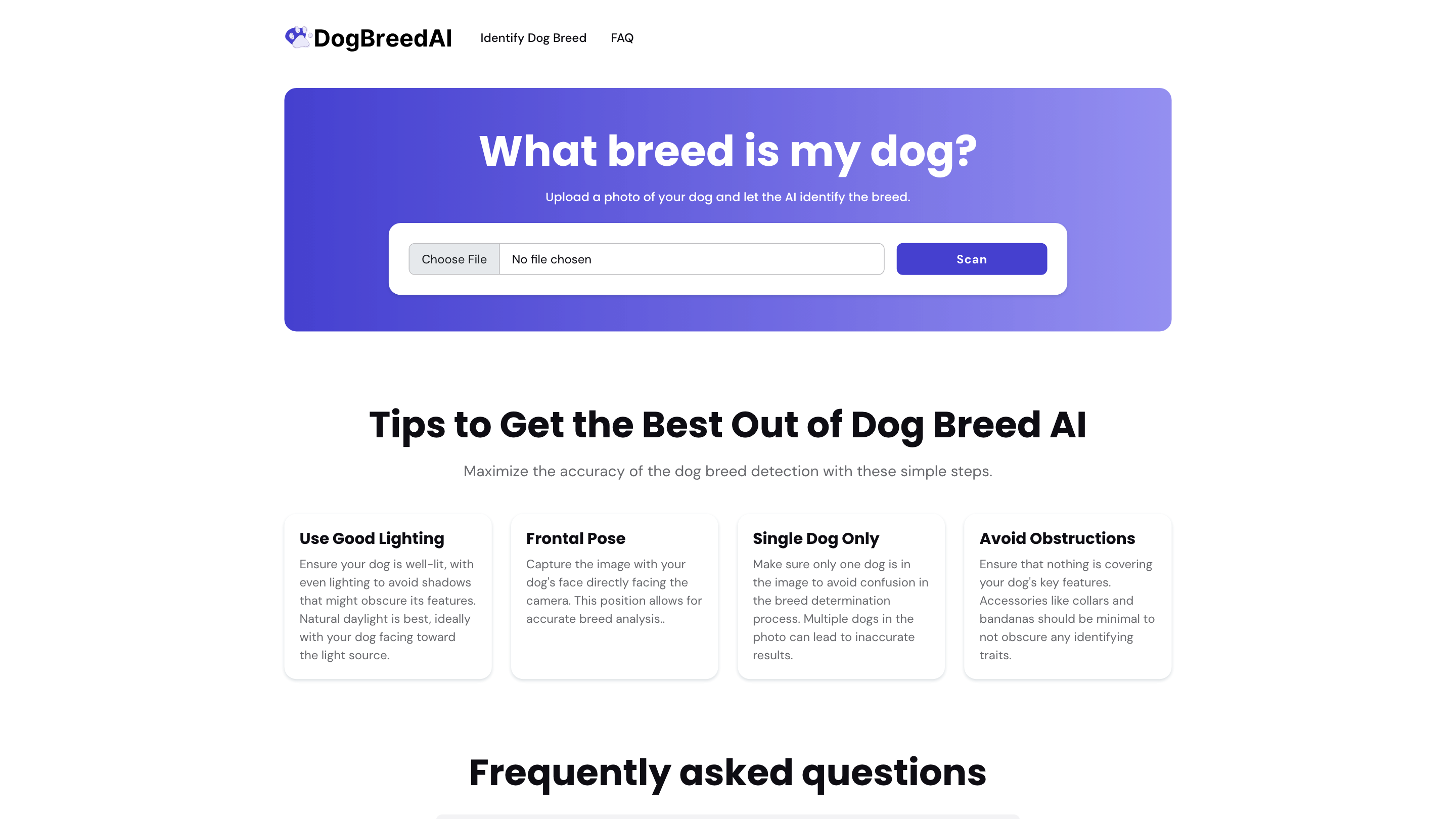 Identify Dog Breeds with AI