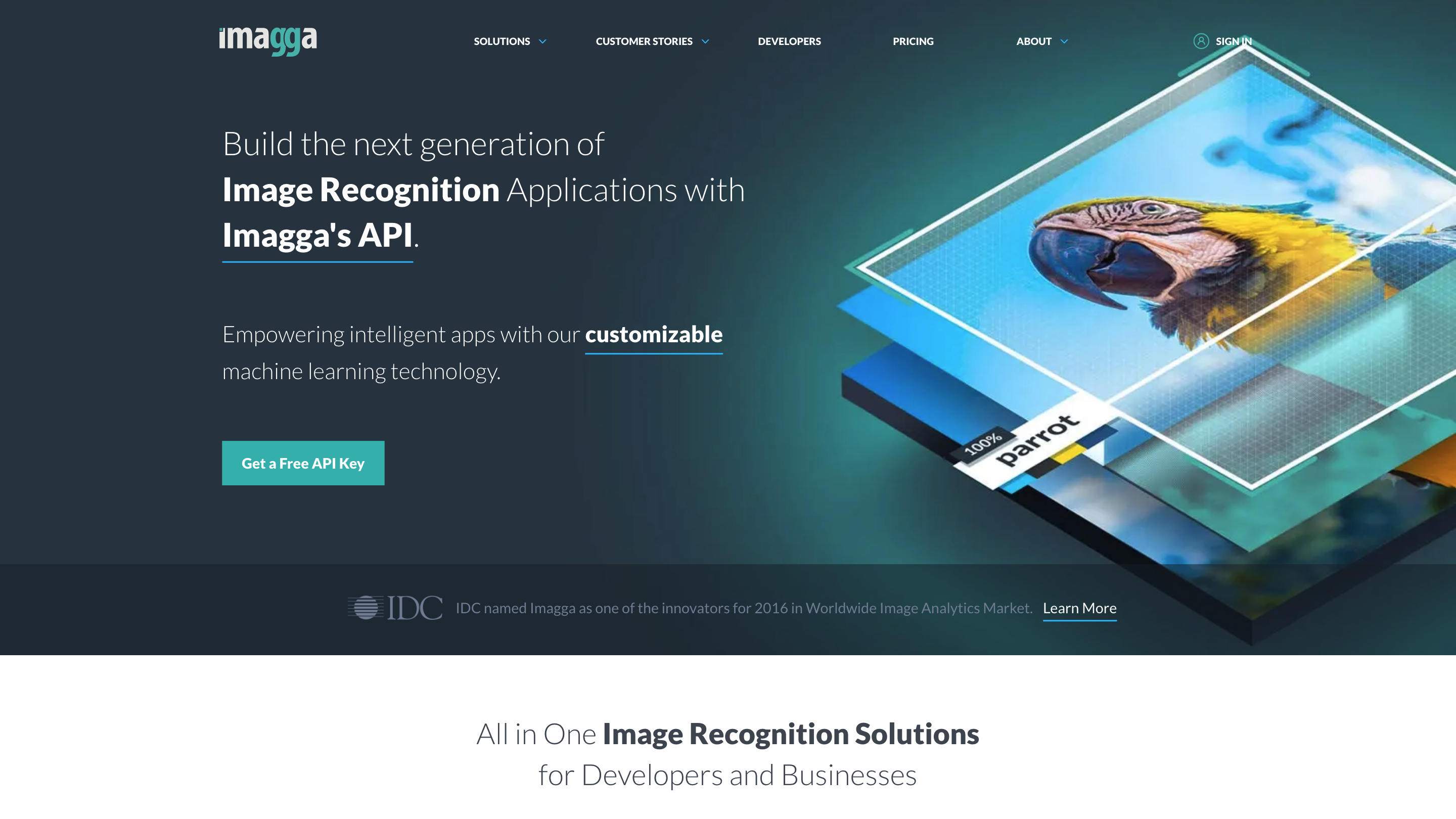 Imagga Image Recognition API