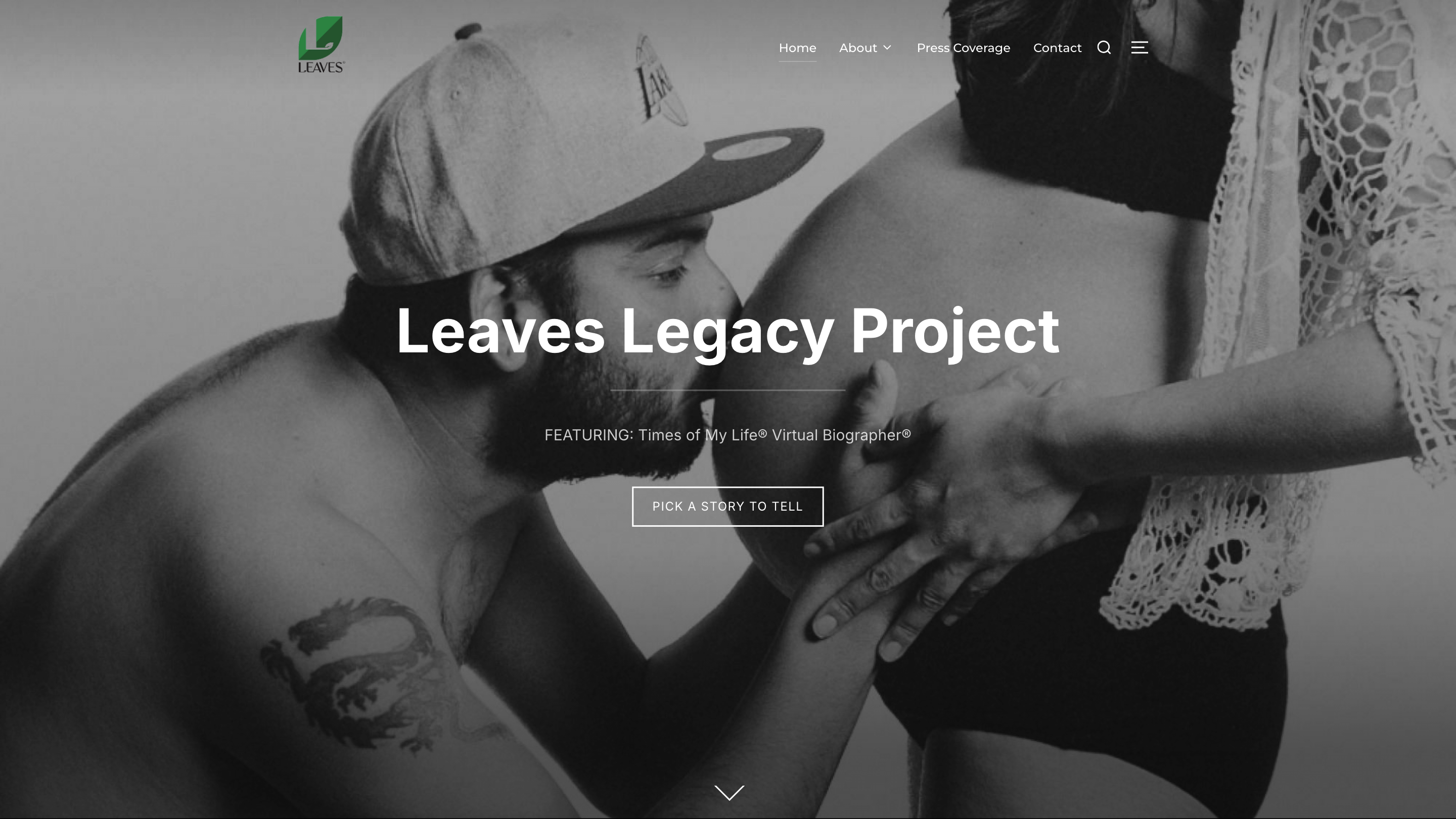 Leaves - Life Stories