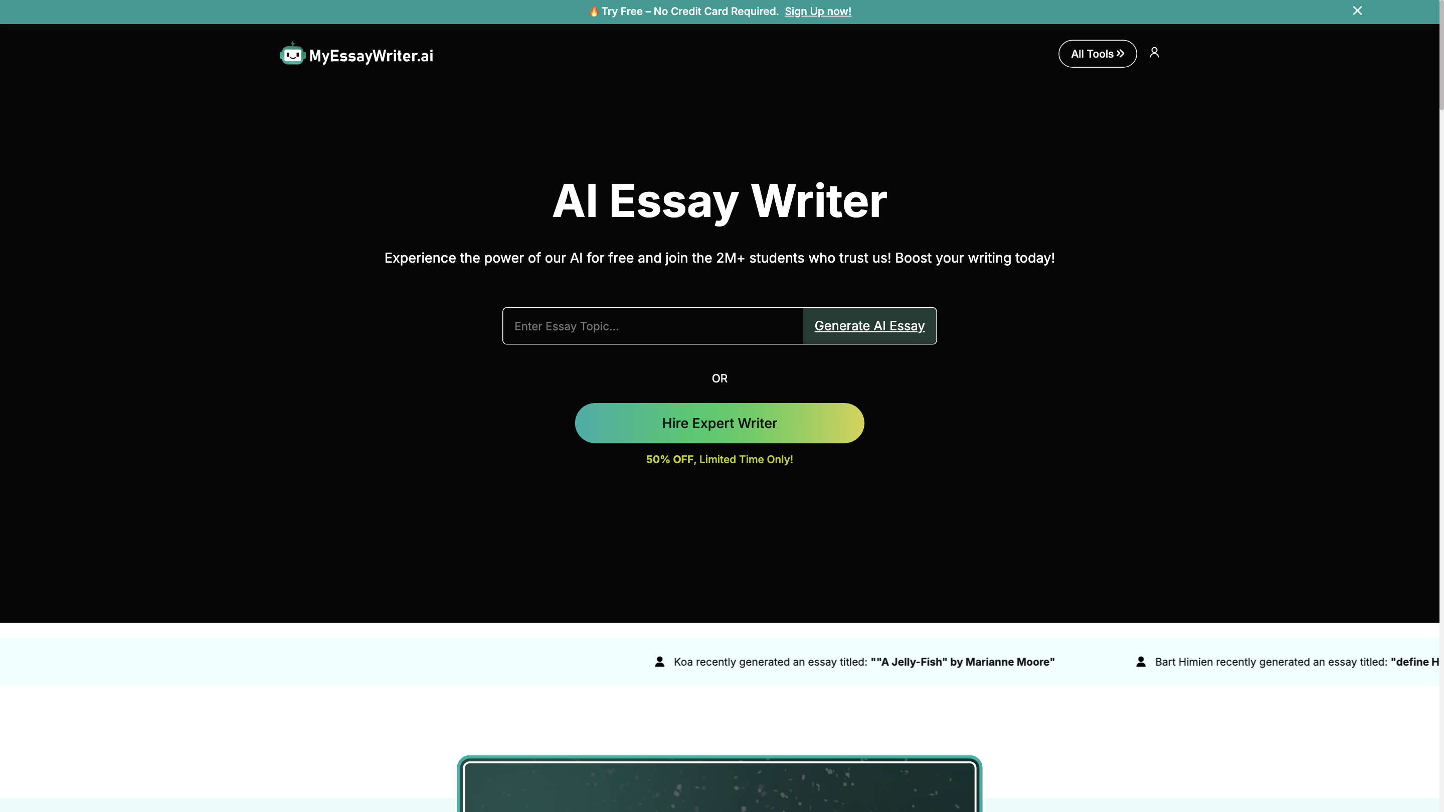 MyEssayWriter.ai