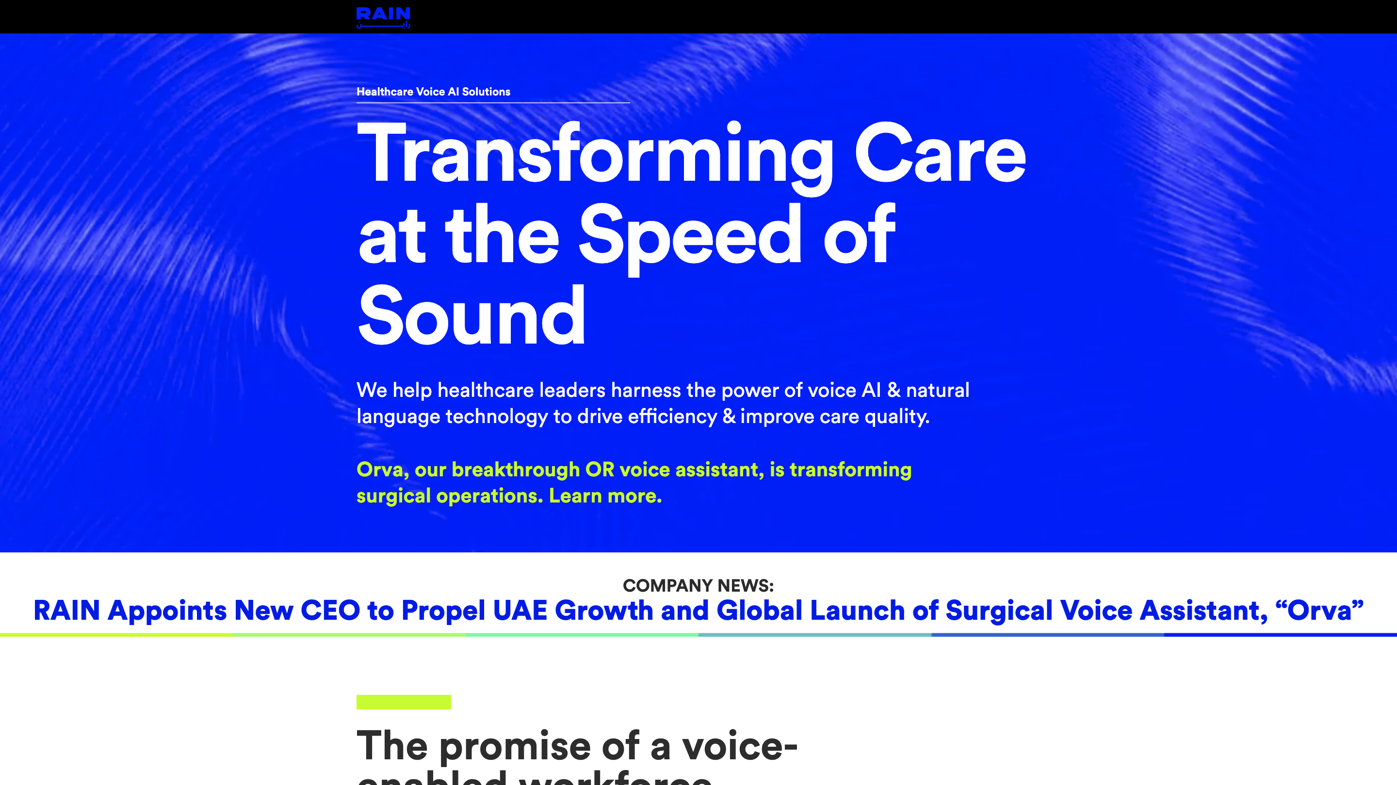 Rain Voice AI Solutions