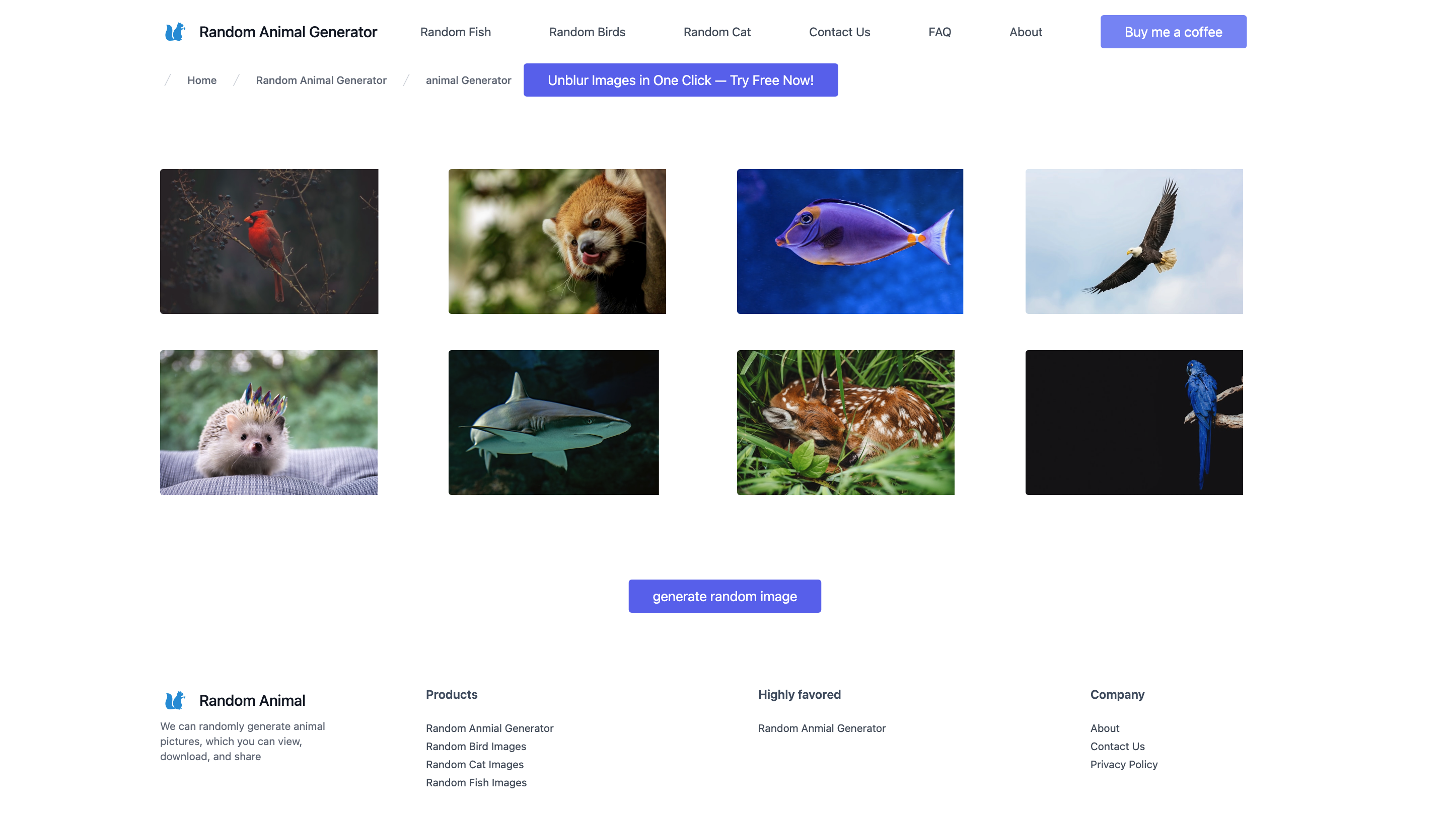 RandomAnimalGenerator