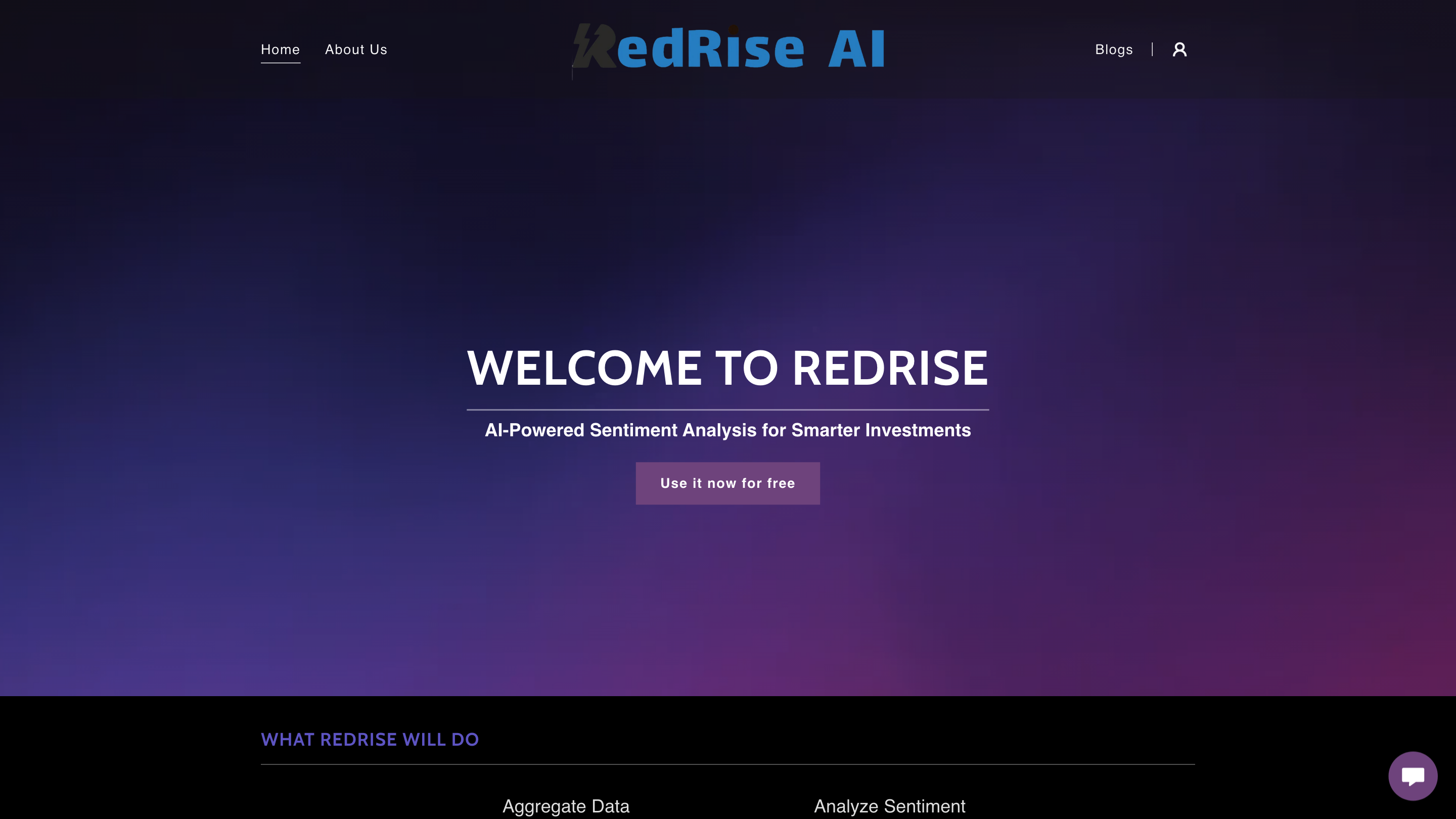RedRise AI