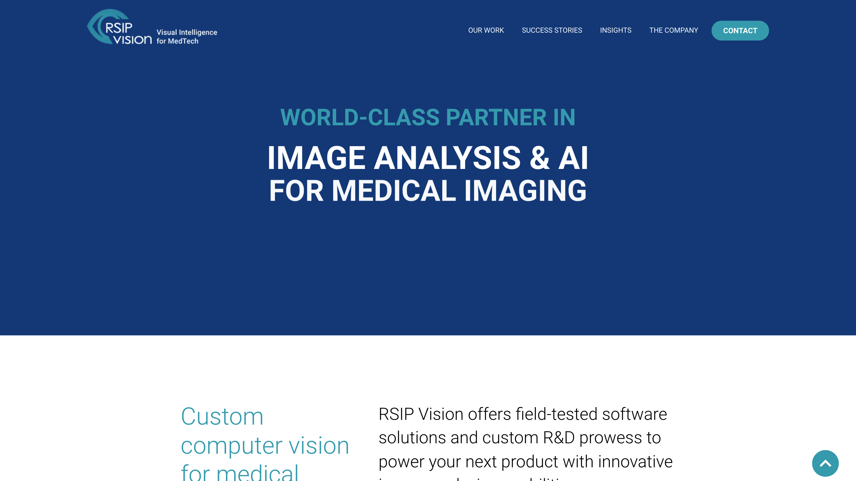 RSIP Vision