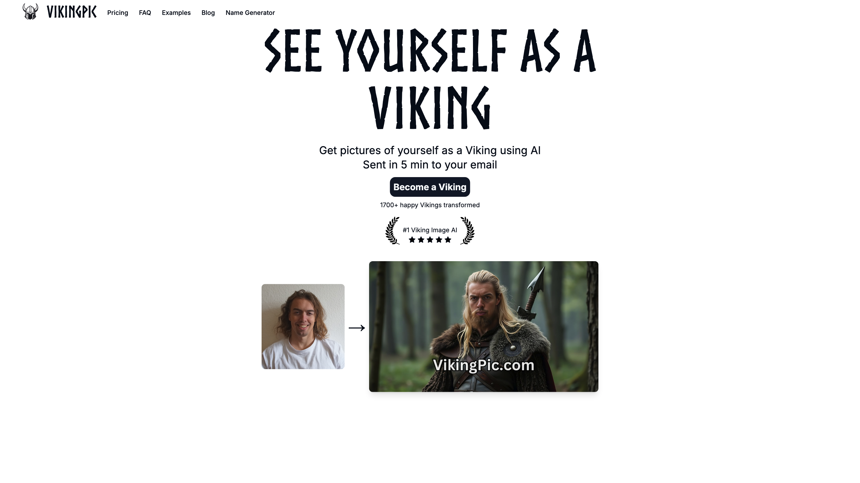 VikingPic